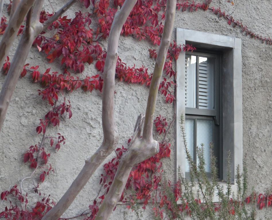 Gabriella'S Hotel Riebeek-Kasteel Exterior photo